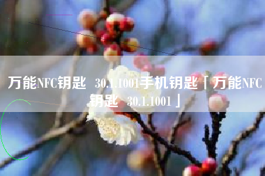 万能NFC钥匙 30.1.1001手机钥匙「万能NFC钥匙 30.1.1001」 万能NFC钥匙 30.1.1001手机钥匙「万能NFC钥匙 30.1.1001」