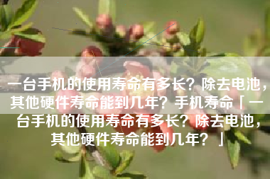 一台手机的使用寿命有多长？除去电池，其他硬件寿命能到几年？手机寿命「一台手机的使用寿命有多长？除去电池，其他硬件寿命能到几年？」