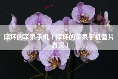 摔坏的苹果手机（摔坏的苹果手机图片 真实）
