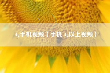 4g手机视频（手机 4g以上视频）