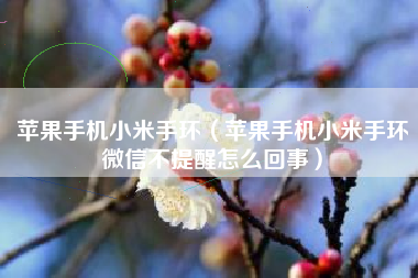 苹果手机小米手环（苹果手机小米手环微信不提醒怎么回事）