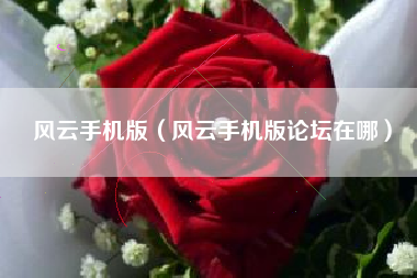 风云手机版（风云手机版论坛在哪）