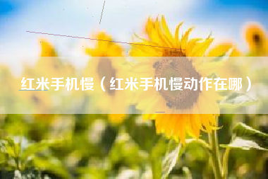 红米手机慢（红米手机慢动作在哪）