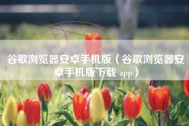 谷歌浏览器安卓手机版（谷歌浏览器安卓手机版下载 app）