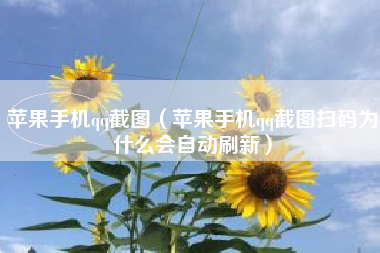 苹果手机qq截图（苹果手机qq截图扫码为什么会自动刷新）