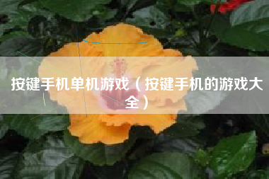 按键手机单机游戏（按键手机的游戏大全）