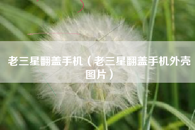 老三星翻盖手机（老三星翻盖手机外壳图片）