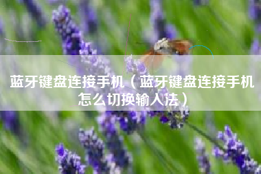 蓝牙键盘连接手机（蓝牙键盘连接手机怎么切换输入法）
