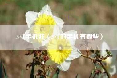 5寸手机好（5寸的手机有哪些）