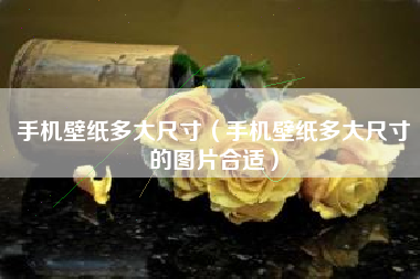 手机壁纸多大尺寸（手机壁纸多大尺寸的图片合适）