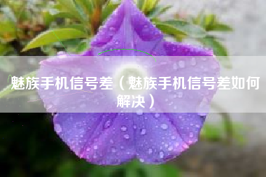 魅族手机信号差（魅族手机信号差如何解决）