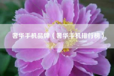 奢华手机品牌（奢华手机排行榜）