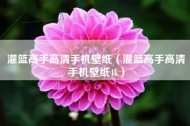 灌篮高手高清手机壁纸（灌篮高手高清手机壁纸4k）