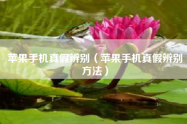 苹果手机真假辨别（苹果手机真假辨别方法）