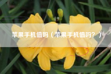 苹果手机值吗（苹果手机值吗？）
