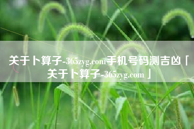 关于卜算子-365zyg.com手机号码测吉凶「关于卜算子-365zyg.com」