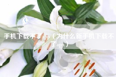 手机下载不了app（为什么新手机下载不了app）
