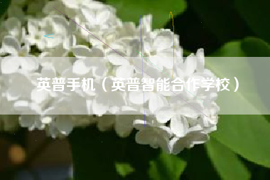 英普手机（英普智能合作学校）