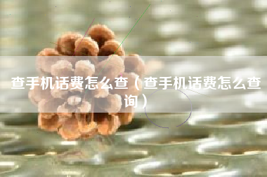 查手机话费怎么查（查手机话费怎么查询）