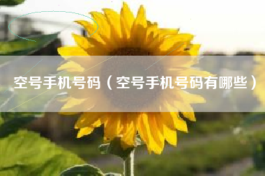 空号手机号码（空号手机号码有哪些）