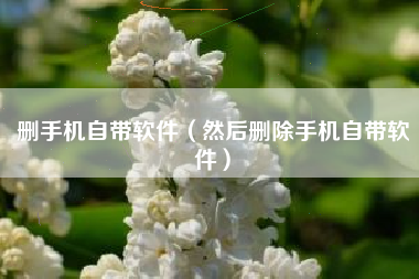 删手机自带软件（然后删除手机自带软件）