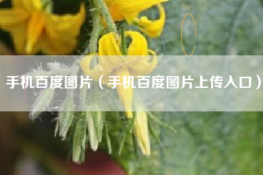 手机百度图片（手机百度图片上传入口）