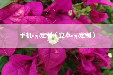 手机app定制（安卓app定制）