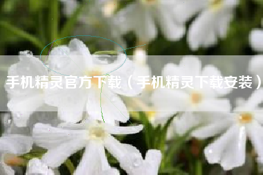 手机精灵官方下载（手机精灵下载安装）