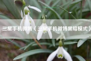 三星手机微博（三星手机微博黑暗模式）