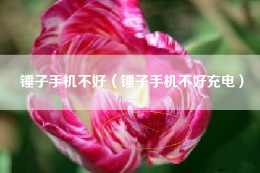 锤子手机不好（锤子手机不好充电）