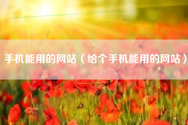 手机能用的网站（给个手机能用的网站）