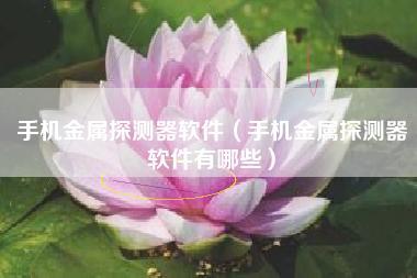 手机金属探测器软件（手机金属探测器软件有哪些）