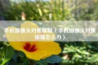手机摄像头对焦模糊（手机摄像头对焦模糊怎么办）
