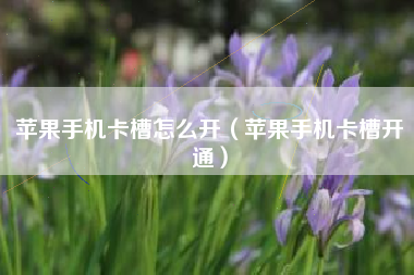苹果手机卡槽怎么开（苹果手机卡槽开通）