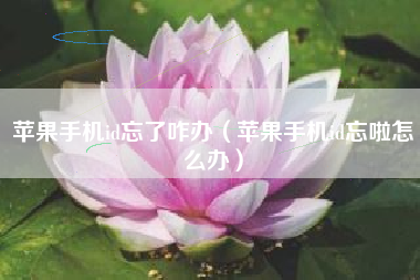 苹果手机id忘了咋办（苹果手机id忘啦怎么办）