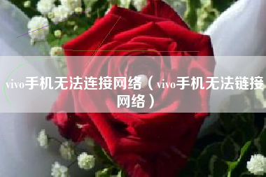 vivo手机无法连接网络（vivo手机无法链接网络）