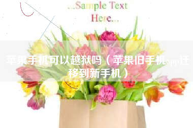 苹果手机可以越狱吗（苹果旧手机app迁移到新手机）