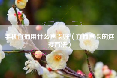 手机直播用什么声卡好（直播声卡的连接方法）