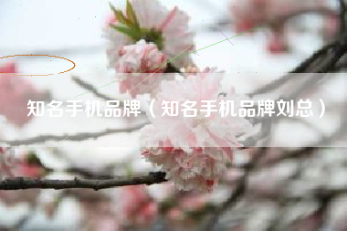 知名手机品牌（知名手机品牌刘总）