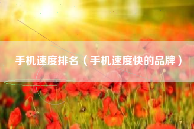 手机速度排名（手机速度快的品牌）