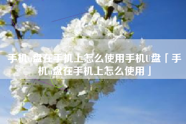 手机u盘在手机上怎么使用手机U盘「手机u盘在手机上怎么使用」