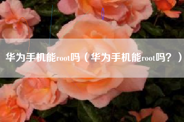华为手机能root吗（华为手机能root吗？）