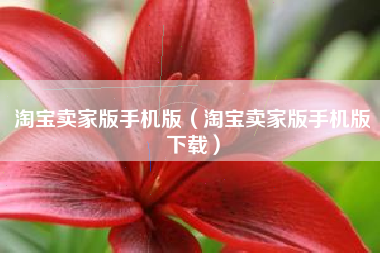 淘宝卖家版手机版（淘宝卖家版手机版下载）