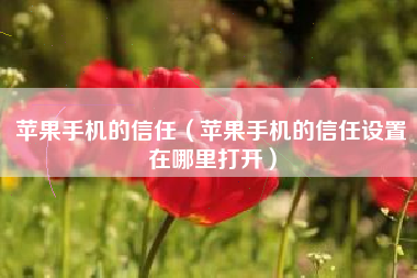 苹果手机的信任（苹果手机的信任设置在哪里打开）
