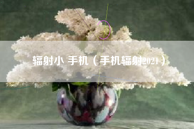 辐射小 手机（手机辐射2021）