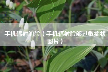 手机辐射的脸（手机辐射脸部过敏症状图片）
