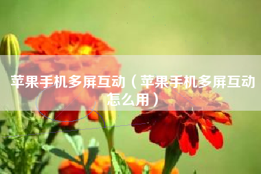 苹果手机多屏互动（苹果手机多屏互动怎么用）