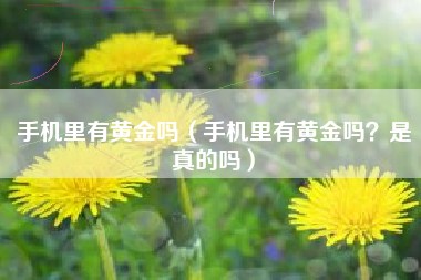 手机里有黄金吗（手机里有黄金吗？是真的吗）
