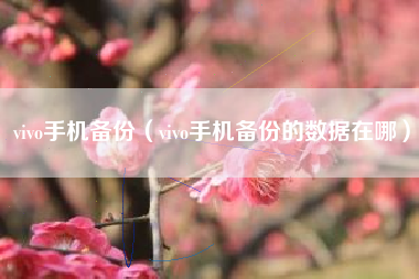 vivo手机备份（vivo手机备份的数据在哪）