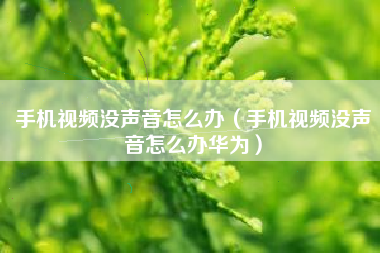 手机视频没声音怎么办（手机视频没声音怎么办华为）